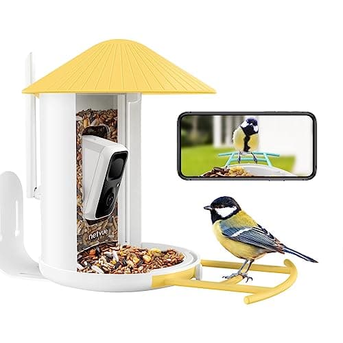 Netvue by Birdfy premium smart bird feeder camera with solar roof in a garden