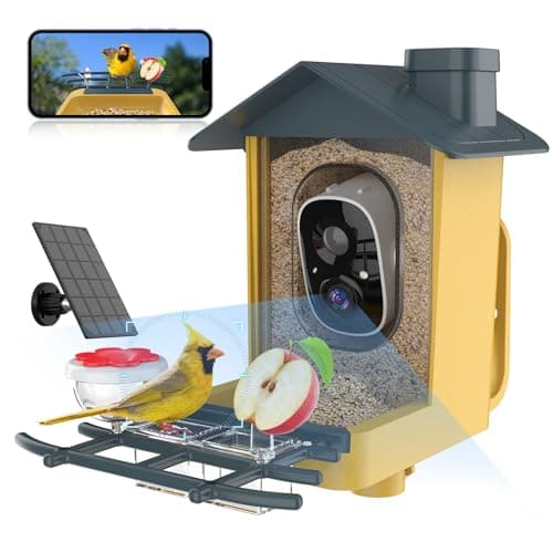 oddkont ultra-budget smart bird feeder camera with 2K video and solar panel