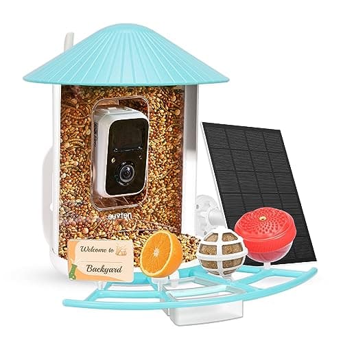 Netvue Birdfy smart bird feeder camera mounted on a post in a UK garden
