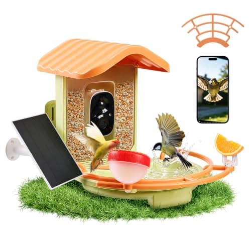 Citybay 2K solar smart bird feeder and bird bath with AI identification