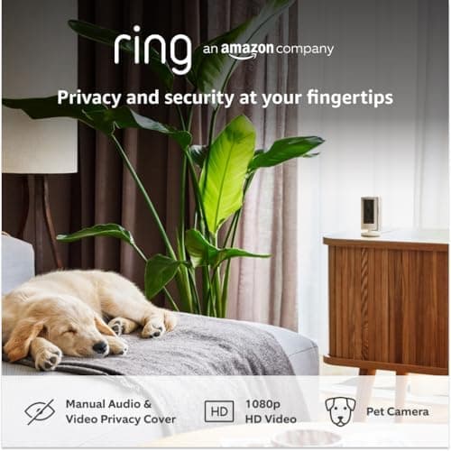 Ring Indoor Camera (2nd Gen) on a shelf watching a sleeping puppy in a living room