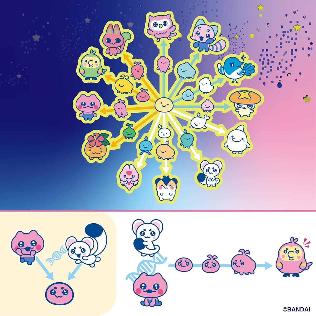 Bandai chart of Tamagotchi Paradise growth paths, from a baby character out to many adult designs, with a small breeding panel